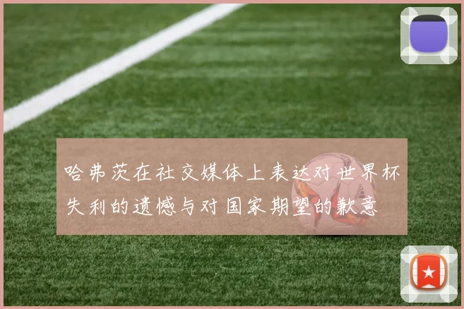 哈弗茨在社交媒体上表达对世界杯失利的遗憾与对国家期望的歉意
